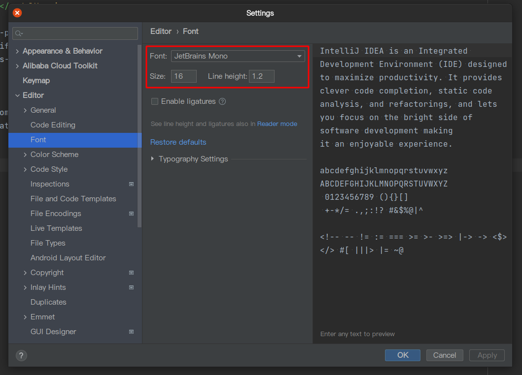 idea-settings-editor-font
