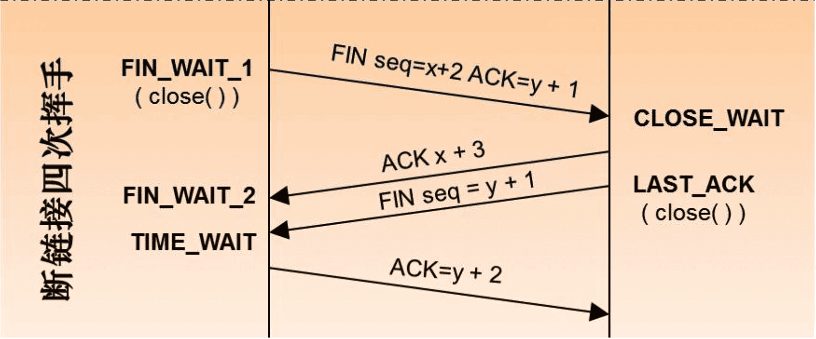 dev-network-protocol-x2.png