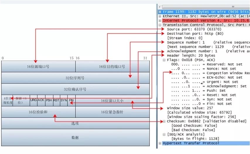 dev-network-wireshark-1.jpeg